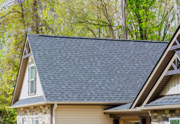 Best Sheet Metal Roofing  in Ripon, WI